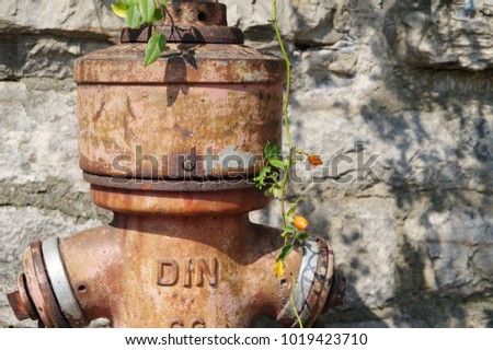 funny hydrant with rust,