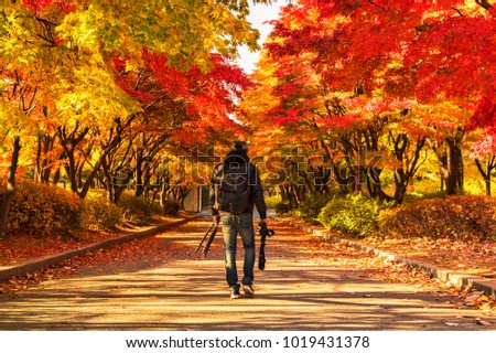 Photographer stand in Nami Island, South Korea. Autumn in korea.