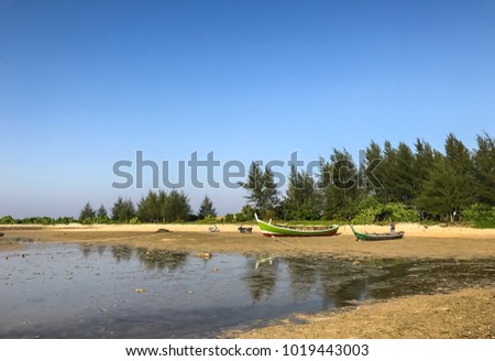 Closed up beach and grassland under the blue sky on the sunlight, at Laem Pakarang (Coral cape) which is filled with antlers coral, Phang nga beach, the Southern of Thailand.
