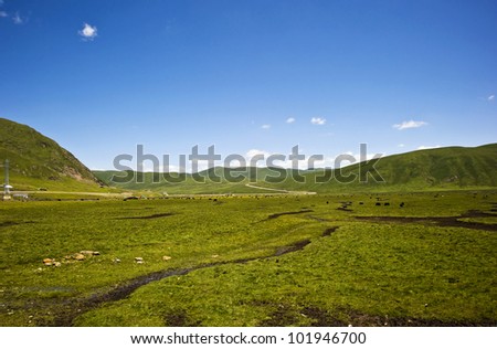 beautiful landscape with blue sky and white cloud