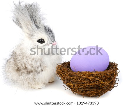 A cute little long hair bunny rabbit and bright colored easter egg, isolated on white background. 