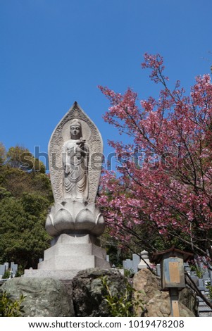Buddhist priest meditates under a plam tree and blue sky, Shinto shrine in Japan. Translation: "An offering of money"