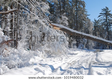 Large storm damage caused by a winter blizzard that went through Massachusetts Royalty-Free Stock Photo #1019480032