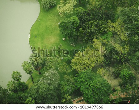 World Environment Day theme top view of city park with lake and green zone trees, people at a picnic time. (top view)