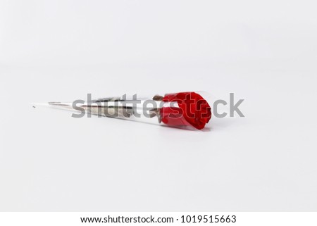 Valentines Day, fresh red rose wrapped into transparent paper isolated on white background. 