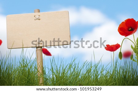 blank wooden sign and green grass with poppies flowers, blue sky and blurred clouds,room for text