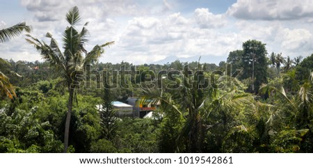 The look from the top of the nearest hill to the roofs of the houses in the middle of the jungles with the palm in front of the picture,Bali Island, Indonesia