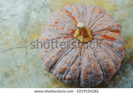 Pumpkin on the old floor with background.
