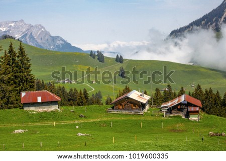 Idyllic switzerland alpine meadows