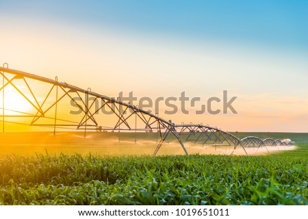 Center Pivot Irrigation System in Cornfield Royalty-Free Stock Photo #1019651011