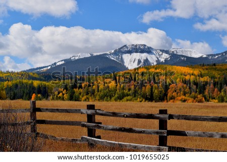 Fall Colors In Steamboat