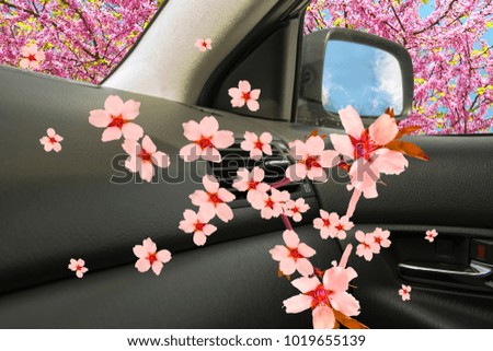 air conductors car freshenera ac aroma flowers background