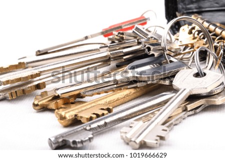 Objects on a white background a variety of keys from a key-holder