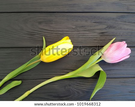 two tulips black wooden