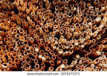Close up picture with pile of straw taken in a farm shed with selective focus. Dried material for thatching roofs. Natural colored rustic background with pattern of small pipes .