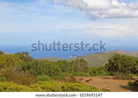 Captivating view of Centuri, Cap Corse coastline, Corsica, France
