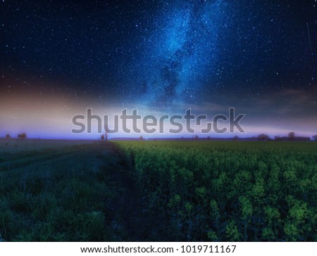 Nigh landscape with starry sky over field of blooming rape seed. Calm night landscape