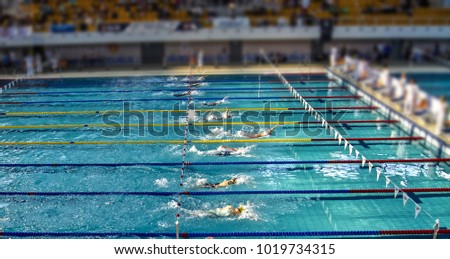 Swimming competition in a large swimming pool with auditorium and judges Royalty-Free Stock Photo #1019734315