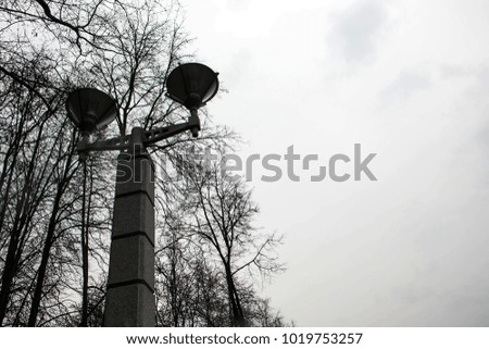 
Vintage street lamp against the sky and trees in the city park with two shades