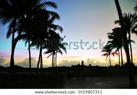 Miami skyline with palm trees and a rainbow colored sky when the sun rises. Early morning on Miami beach in Florida. 