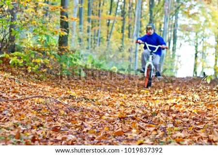Blurred motion picture. Cyclist in the autumn forest. Orange foliage on the path. Trees in yellow foliage.