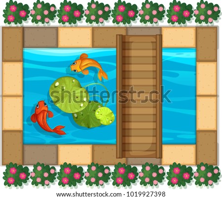 Koi fish in a pond aerial view