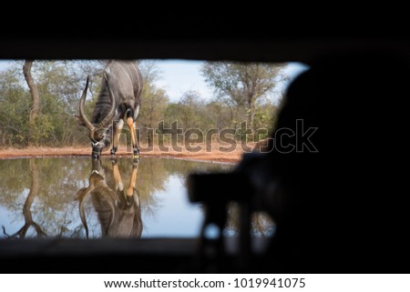 A horizontal, colour image of the silhouette of a photographer in an underground hide watching a male nyala, Tragelaphus angasii, reflected in the pool beyond in Karongwe Gamer Reserve, South Africa.