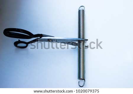 On the picture are  the cissors to cut a steel spring.