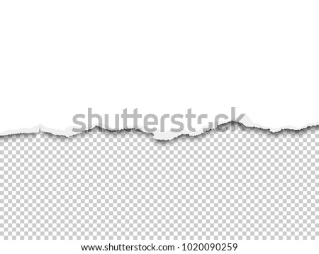 Vector torn a half sheet of white paper from the bottom Royalty-Free Stock Photo #1020090259