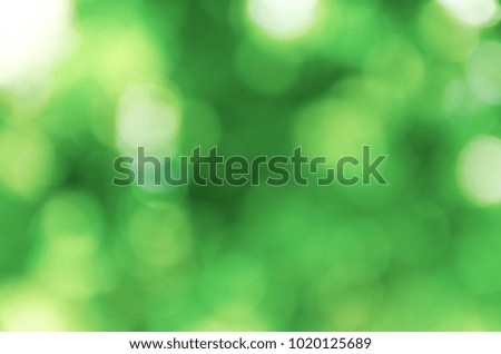 Green natural background of out of focus forest or bokeh