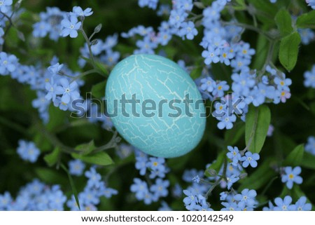 Easter concept.blue easter egg in forget-me-not flowers. gentle easter background in blue tones