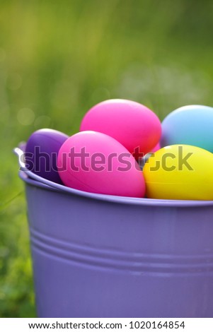 Easter concept. easter eggs in a lilac  bucket on a green lawn in the sunshine .Easter mood. easter bright background	