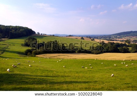 Evening sunshine view of an idyllic valley in the Cotswold countryside near Winchcombe, Gloucesteshire, UK.
