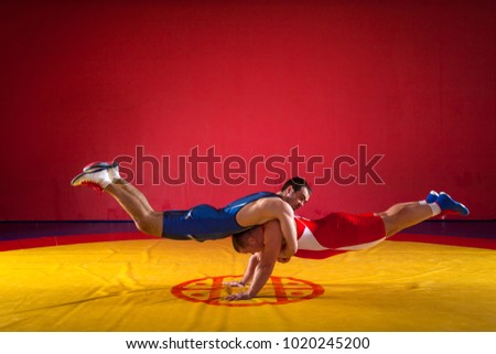 Two young men in blue and red wrestling tights make a warm-up for the wrestling in the sports wrestling hall
