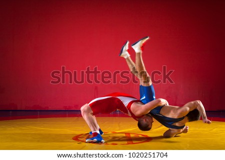 Two  strong men in blue and red wrestling tights are wrestlng and making a suplex wrestling on a yellow wrestling carpet in the gym. Wrestlers doing grapple. 