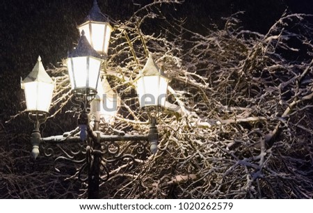 glow lamp on pole in winter on a background of a tree covered with a layer of snow at night