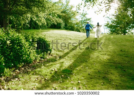 Beautiful newlyweds walking along the green hill on nature on their wedding day. Artwork