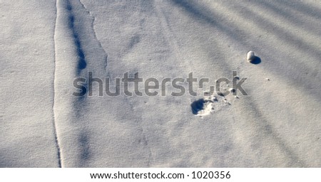 Snowball track