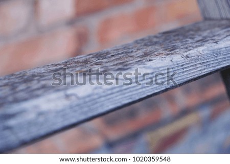 forest wooden background texture 