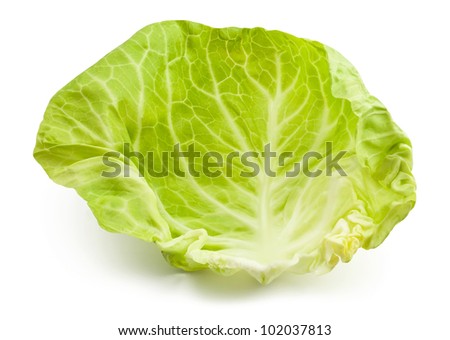 cabbage leaf against white background Royalty-Free Stock Photo #102037813