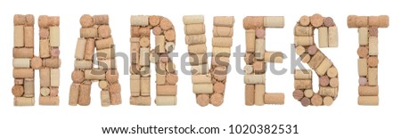 Harvest word made of wine corks Isolated on white background