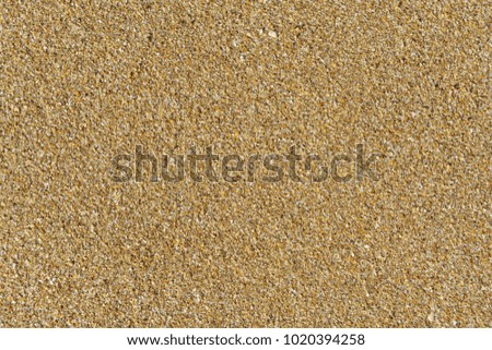 Africa - Morocco - yellow sand at the beach at the sea - background and texture