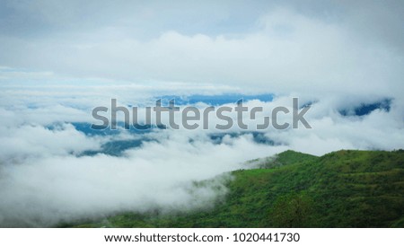 
cloud sky Mountain Fog tree green 