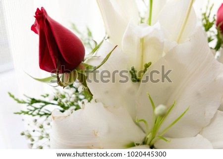 
Valentine's Day , Rose , Love, 
orchid