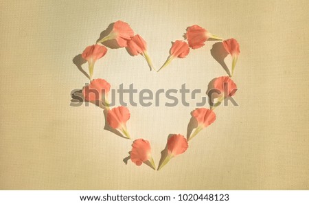 Pink carnations in a heart shape on the canvas