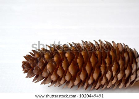 Cone isolated on the white background.