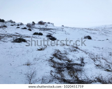 Dune Efa in the winter.
The Curonian Spit