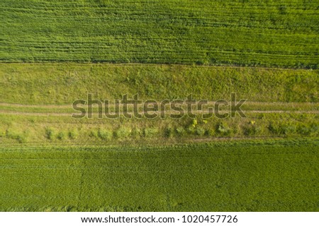 aerial dron shot of green grass field