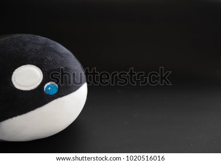 Killer whale or Orca doll on black background,Copy space for text