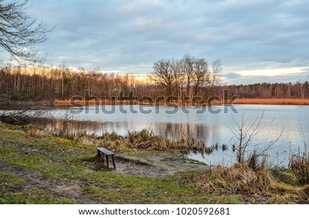Winter morning landscape. Islet on the lake in the morning scenery.
